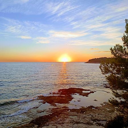Secret Ingridients Pula Dış mekan fotoğraf